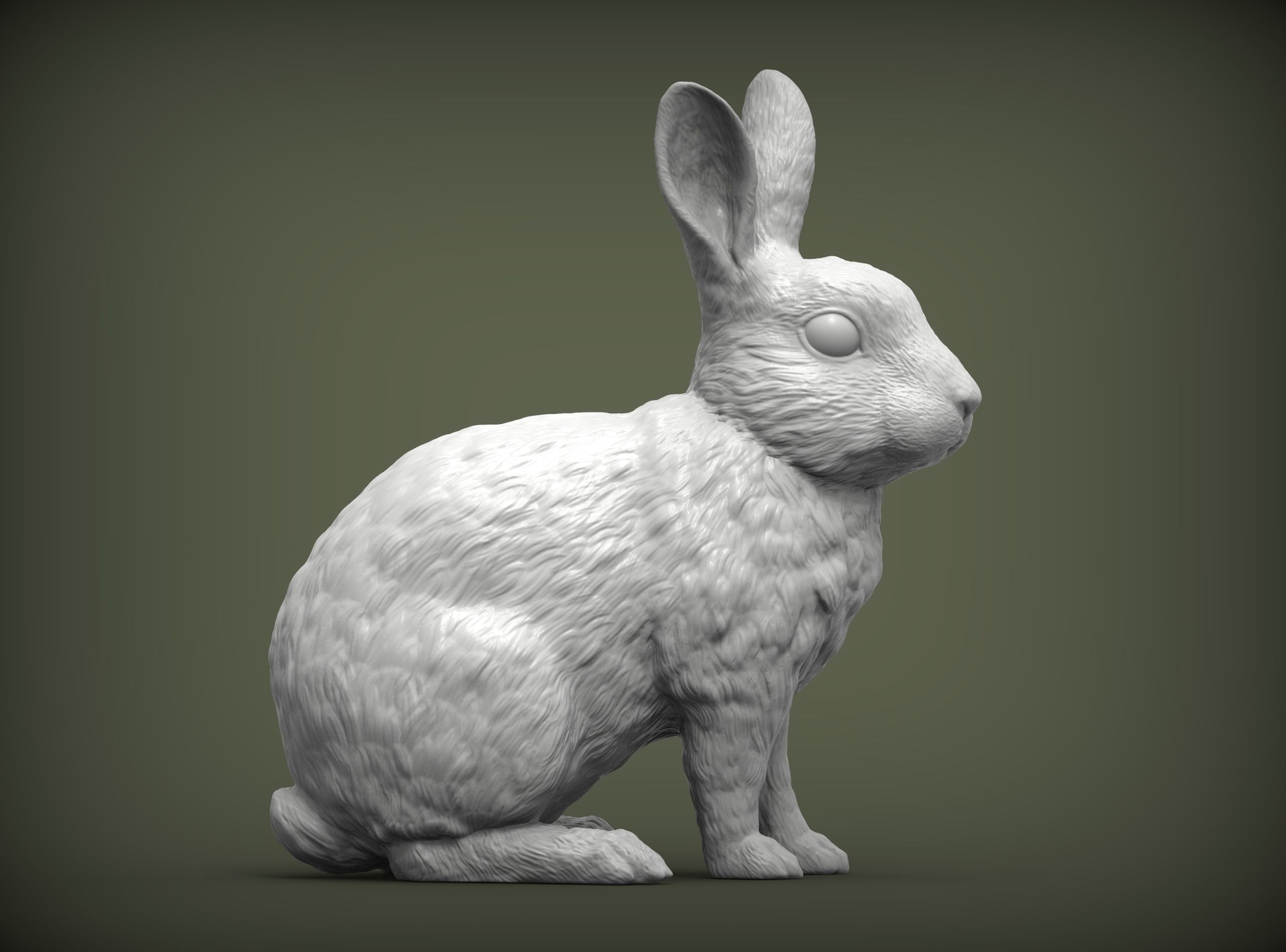 Rabbit rex agouti 3D model 3D printable | CGTrader