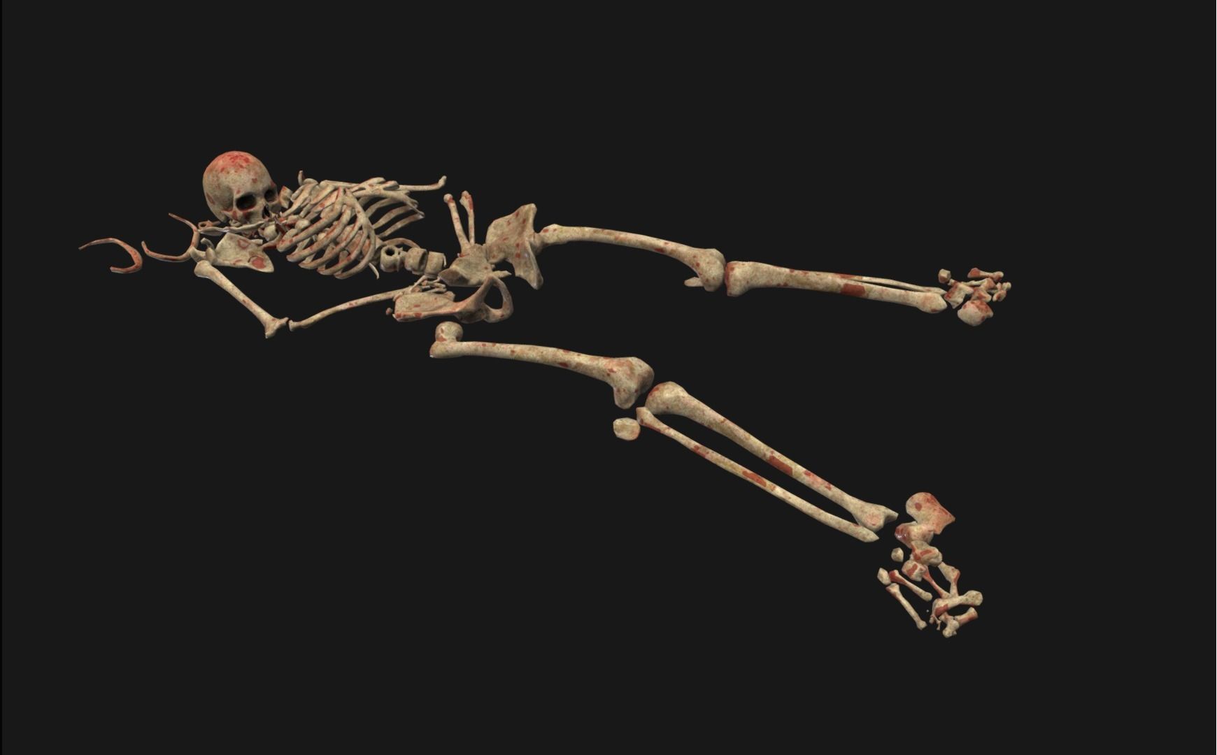 3D model Skull Bones Remains Skeleton Laying corpse VR / AR / low-poly