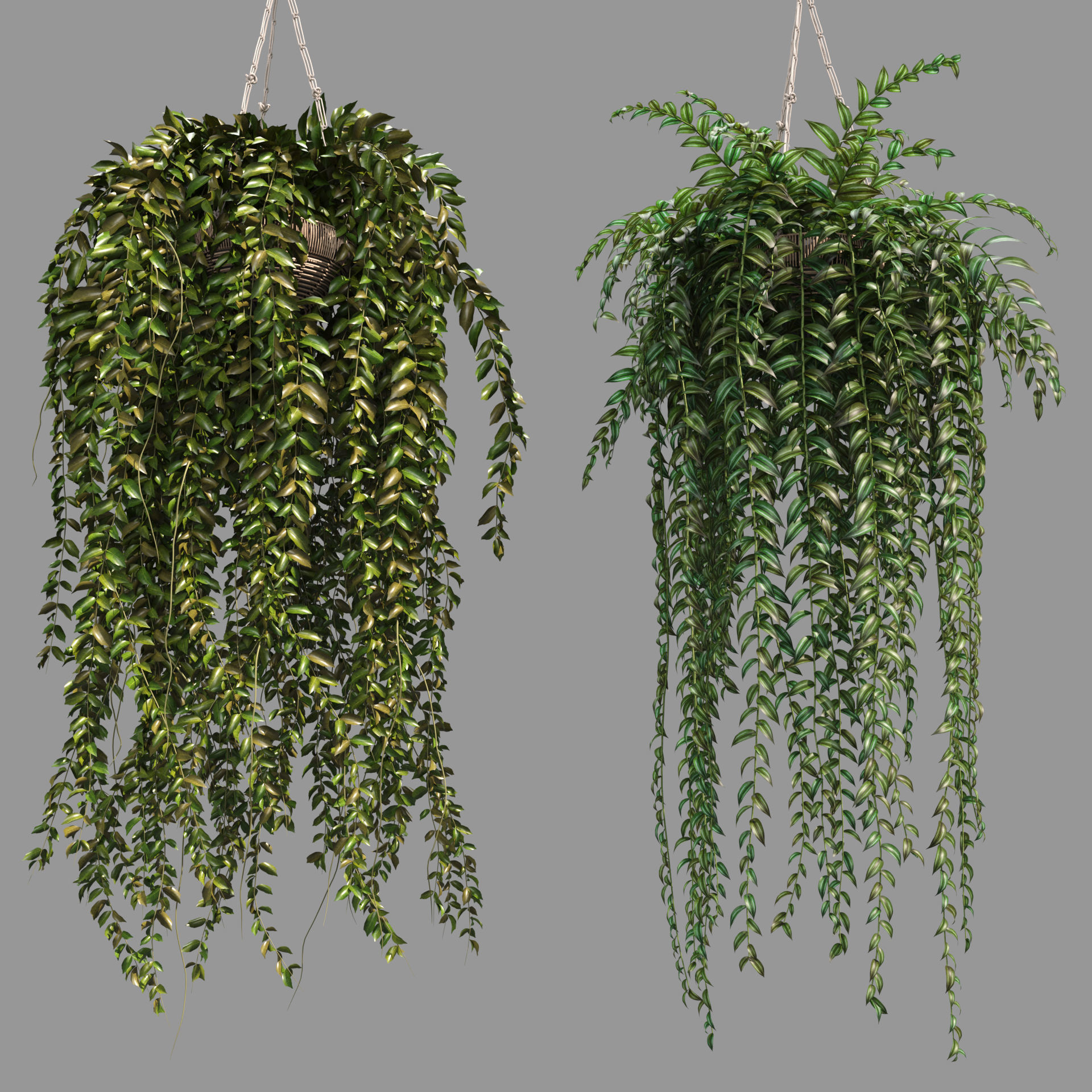 Rattan Plants Hangers 3D model CGTrader