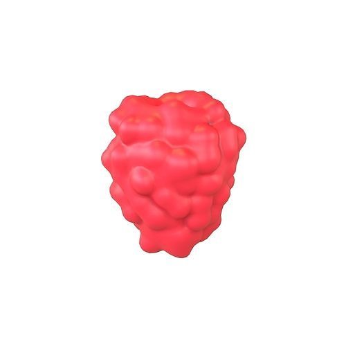 Raspberry V1 001 free VR / AR / low-poly 3D model | CGTrader