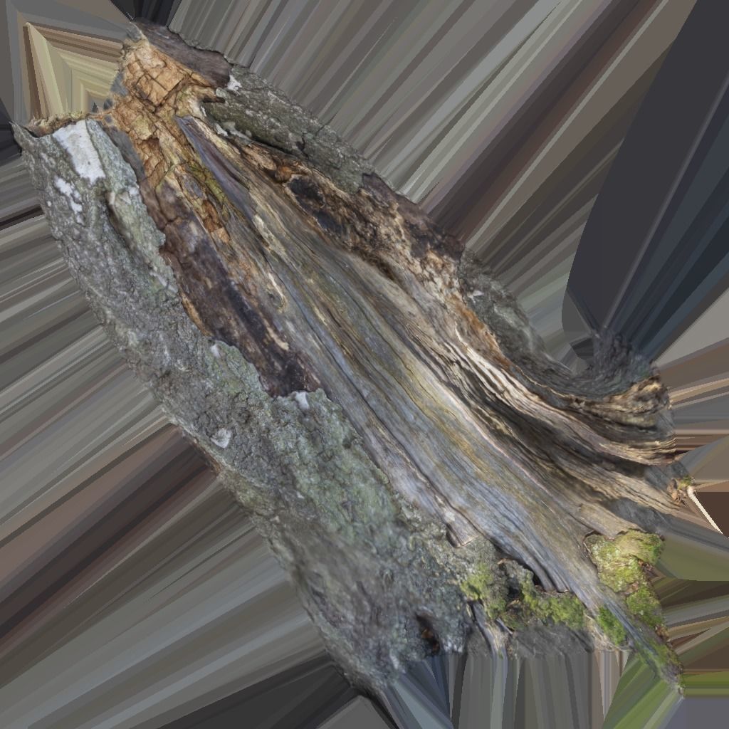 3D model Broke Tree VR / AR / lowpoly CGTrader