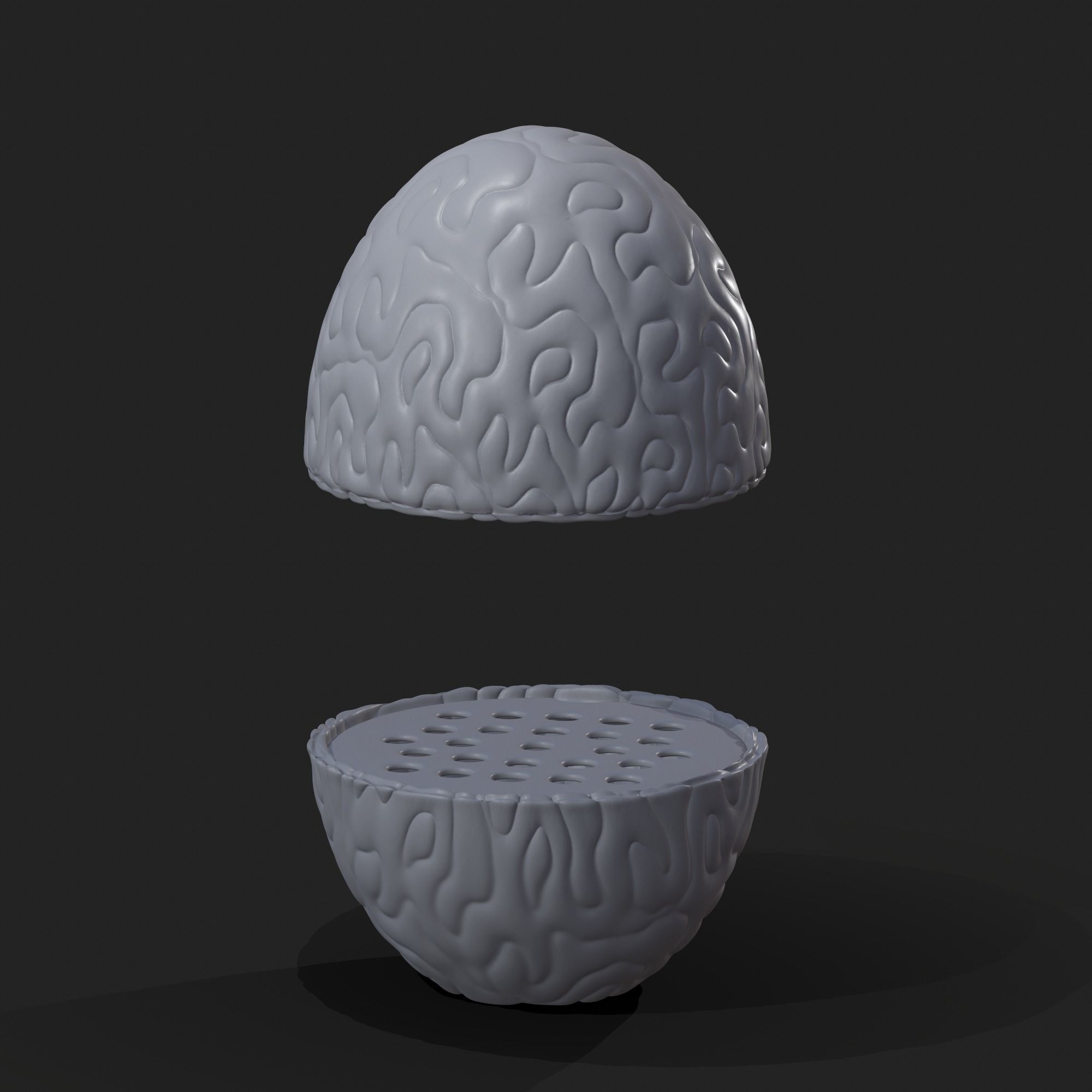 Is Your Egg Support Failing? Find Out Now! - 6o7qm84