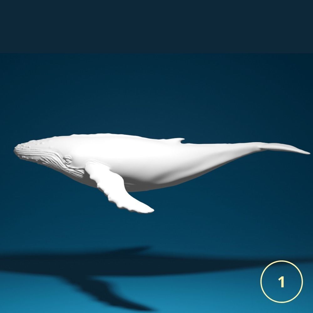 Humpback Whale 3-pack for printing 3D model 3D printable | CGTrader
