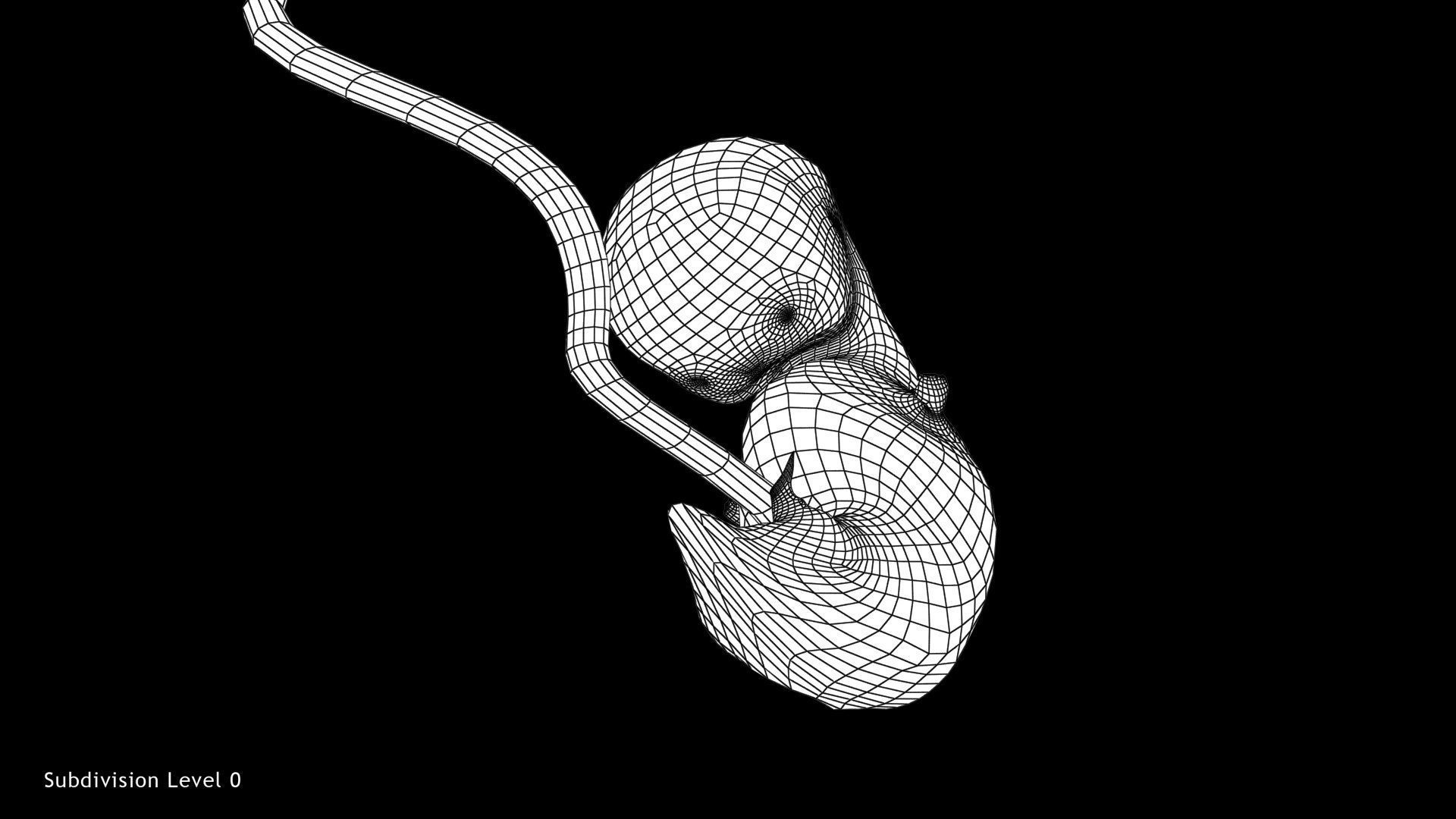 3D model Animated and Morphed Human Fetus VR / AR / low-poly | CGTrader
