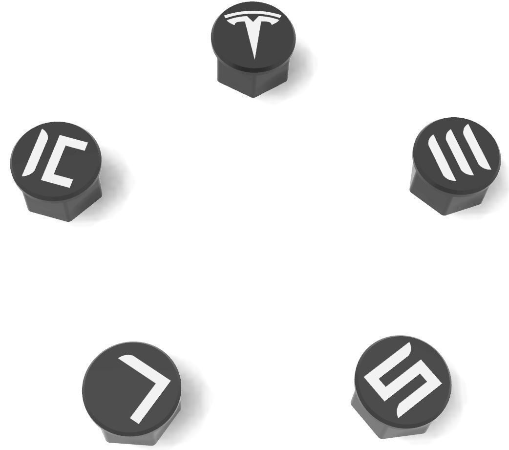 mjs2302 Tesla lug nut covers 3D print kit 3D model 3D printable CGTrader