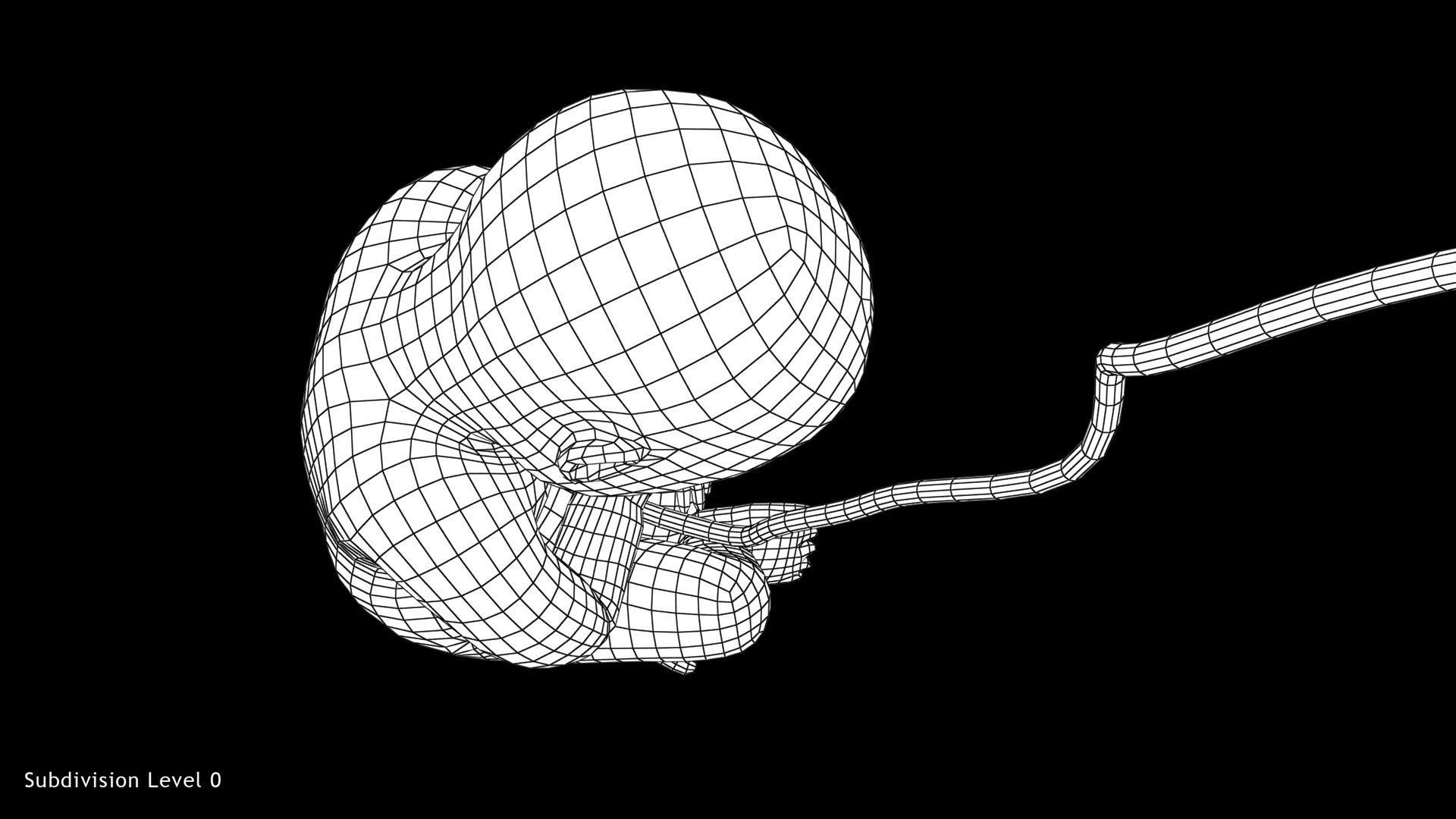 3D model 40 Weeks Human Fetus VR / AR / low-poly | CGTrader
