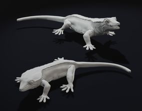 Free Lizard 3D Printing Models | CGTrader
