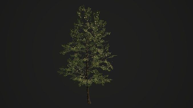 3D model Realistic Tree 3D model Low-poly 3D model VR / AR / low-poly ...