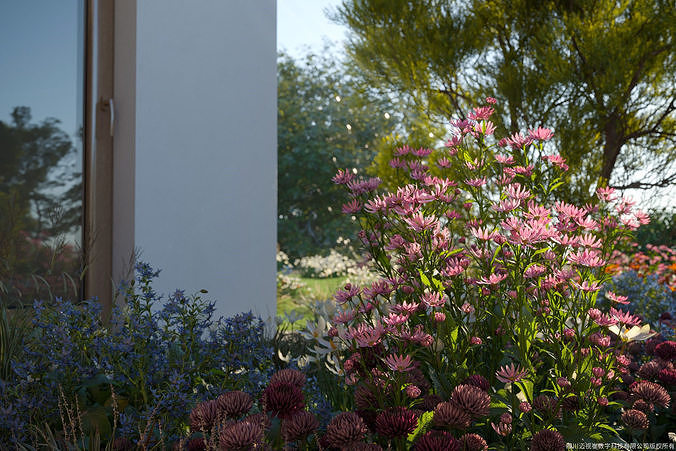 Maxtree Plant Models Vol 28 - Mesh 3D model | CGTrader