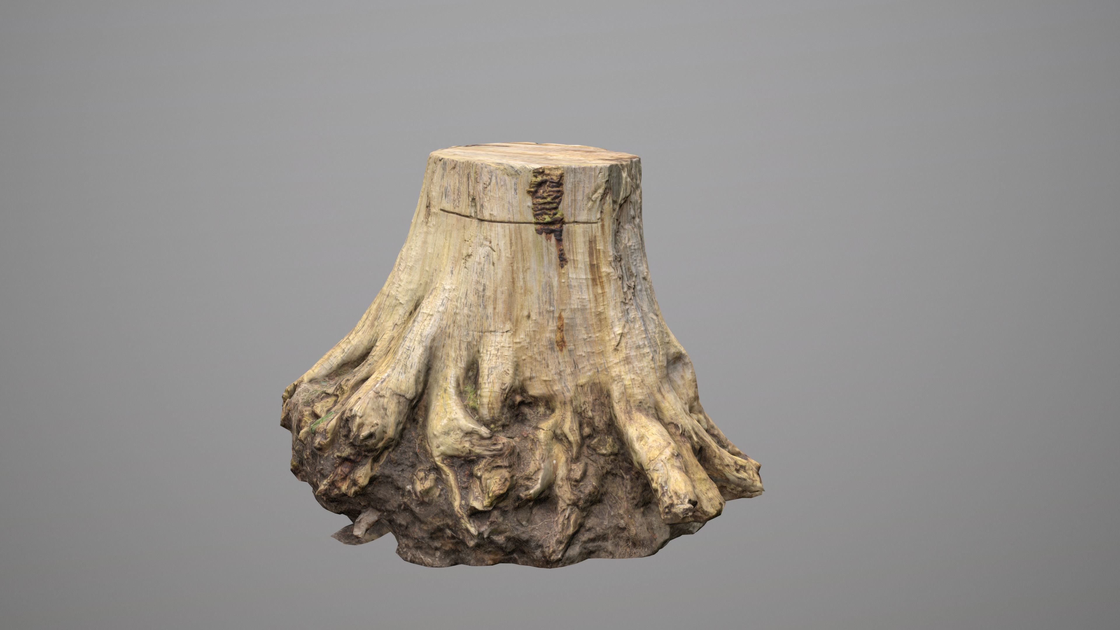 3D model Big Tree Stump VR / AR / low-poly | CGTrader