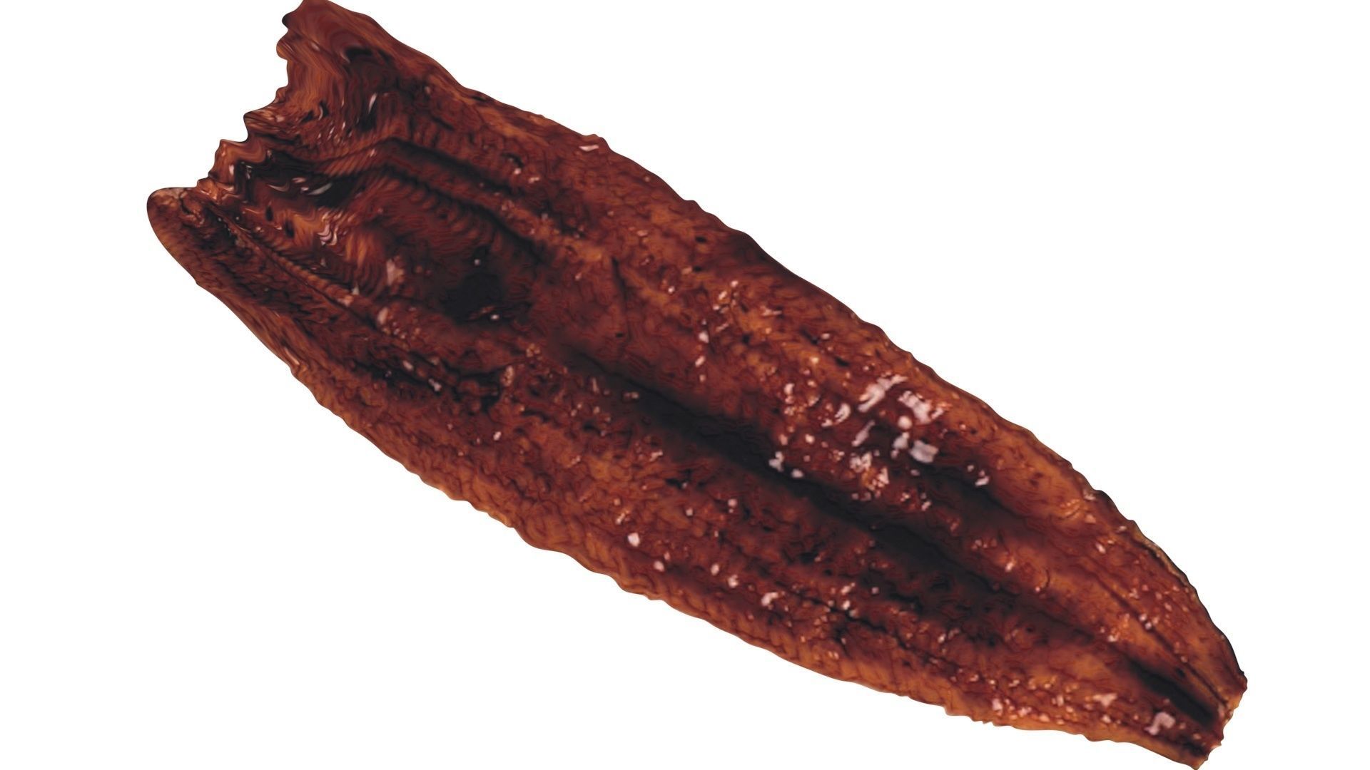 Grilled Eel 3D model CGTrader