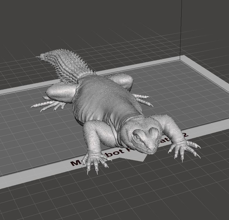 Uromastyx - Spiny Tailed Lizard - Pet Reptile 3d print model 3D model ...