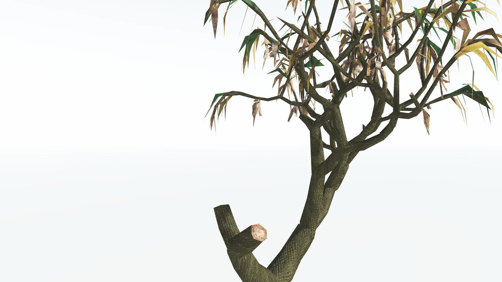 3D model EVERYPlant Lepidodendron Scale Tree LowPoly 3 14 Models VR