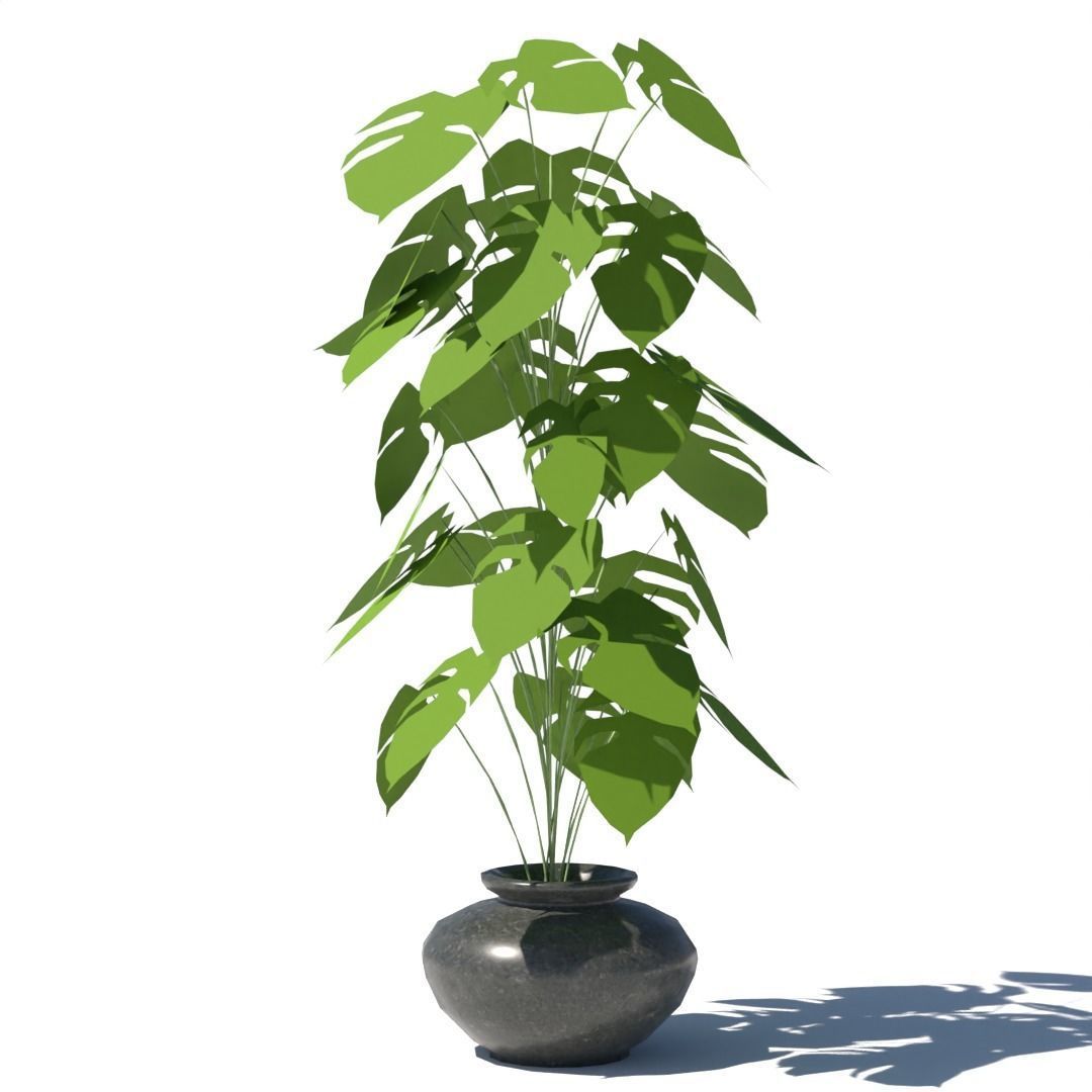 3D model artificial plant and pot VR / AR / lowpoly CGTrader