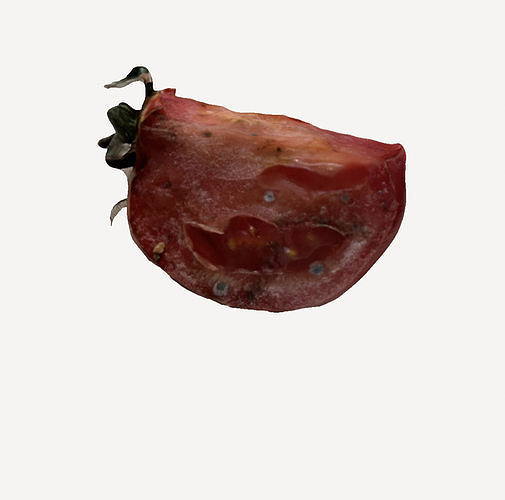 Rotten Tomato 3D model 3D printable | CGTrader