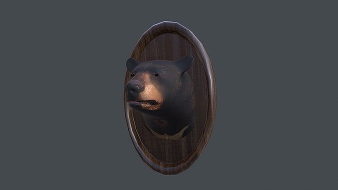 3D model Bear Head Taxidermy VR / AR / low-poly | CGTrader
