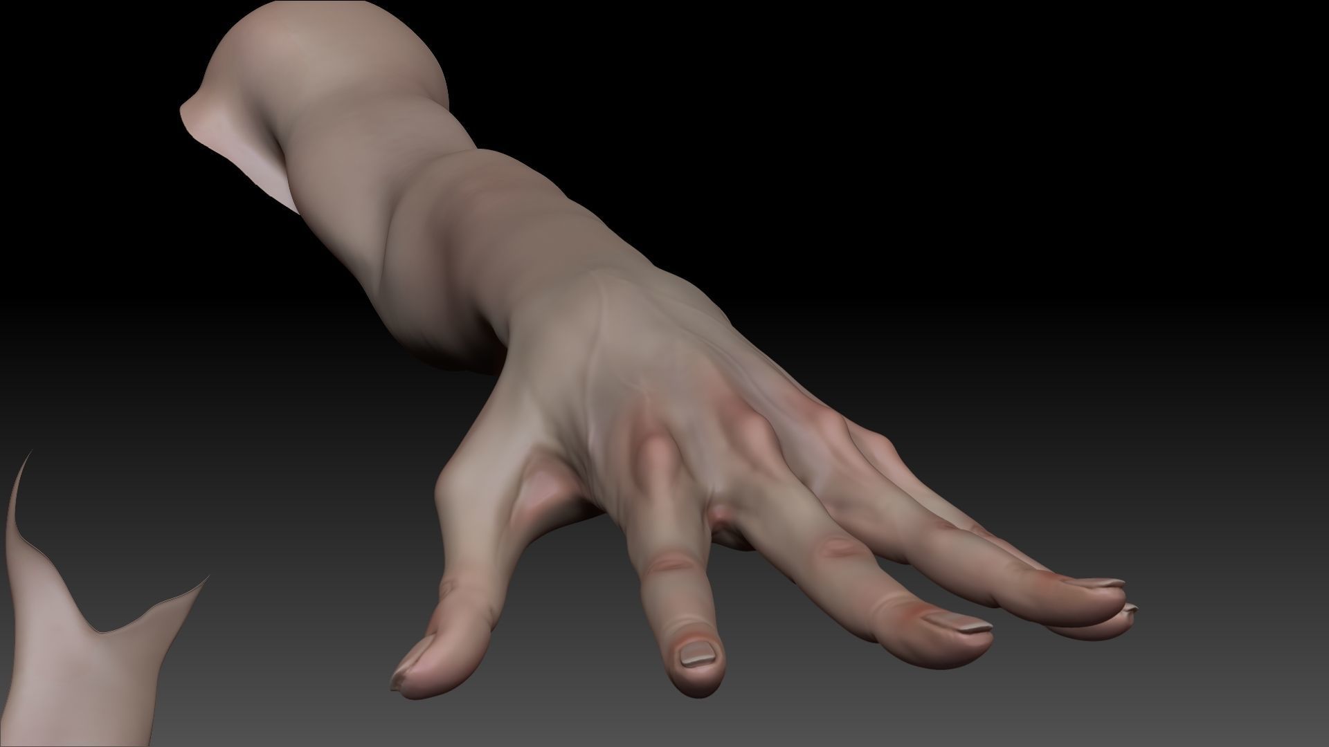 Female Pro Arm Sculpt Project 3D model | CGTrader