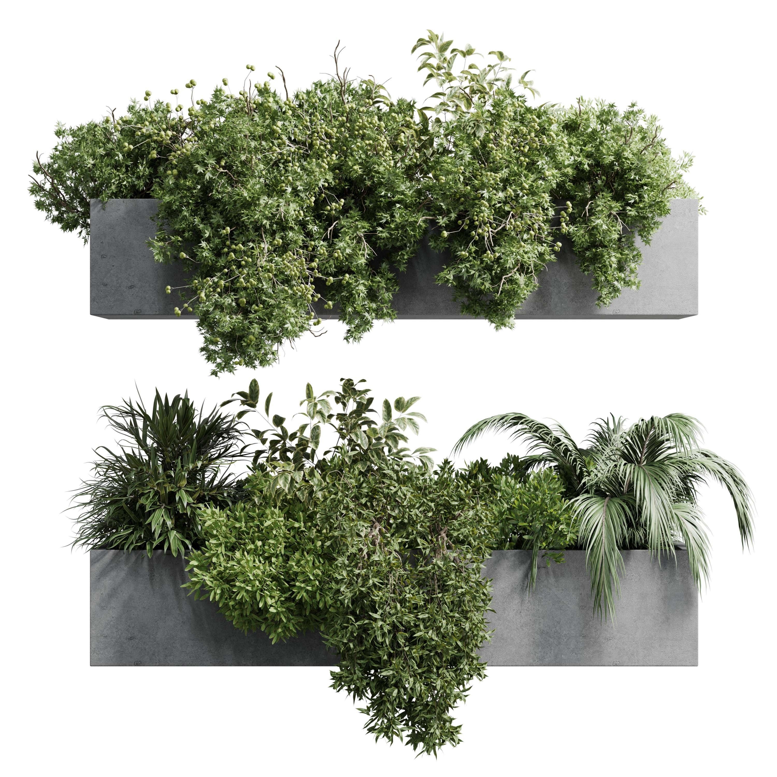 3D model wall plant hanging plants balcony plants outdoor plant VR