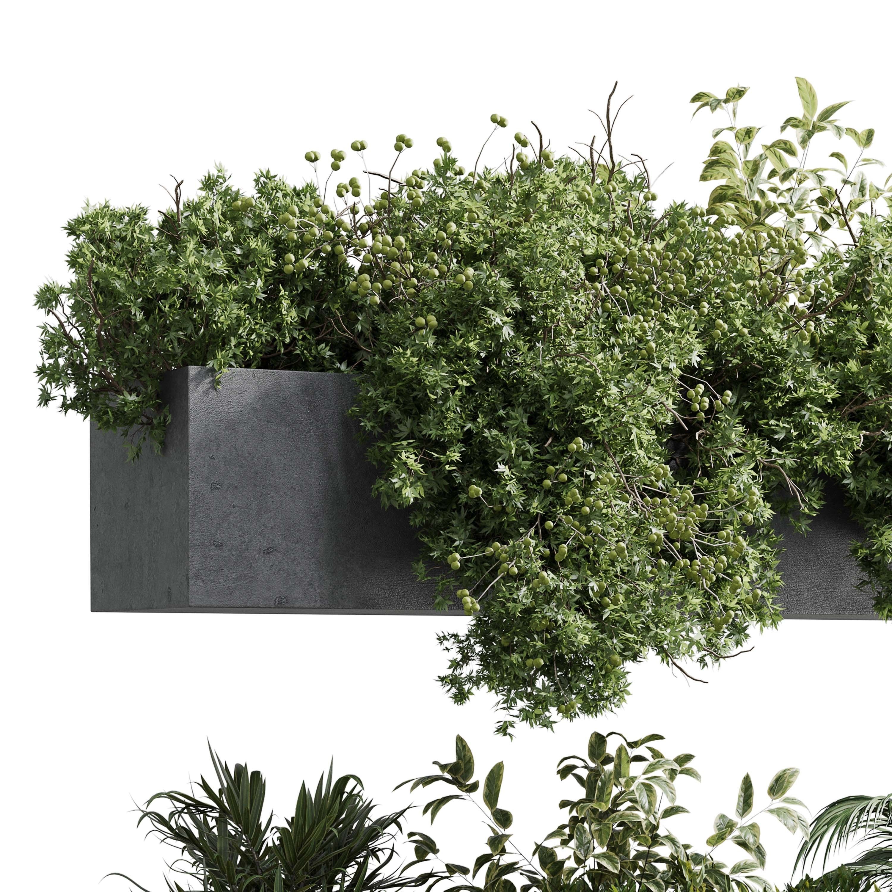 3D model wall plant hanging plants balcony plants outdoor plant VR