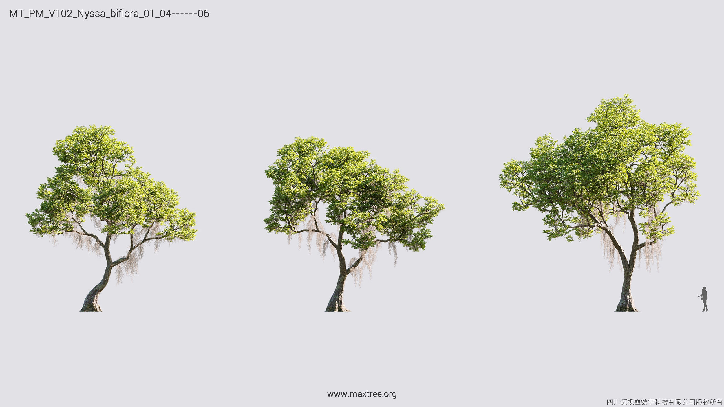 Maxtree Plant Models Vol 102 - Mesh 3D model | CGTrader
