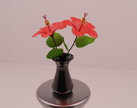 Free Hibiscus 3D Models | CGTrader