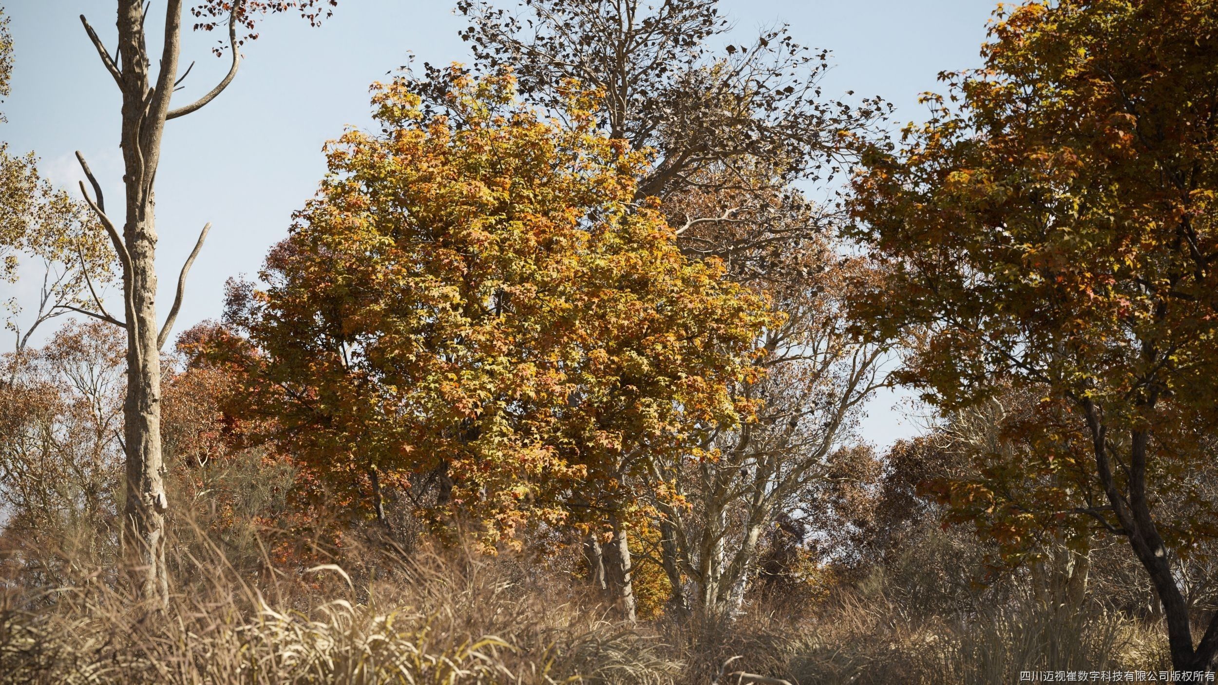 Maxtree Plant Models Vol 108 - Mesh 3D model | CGTrader