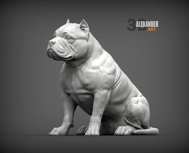American Bully 3D model 3D printable | CGTrader