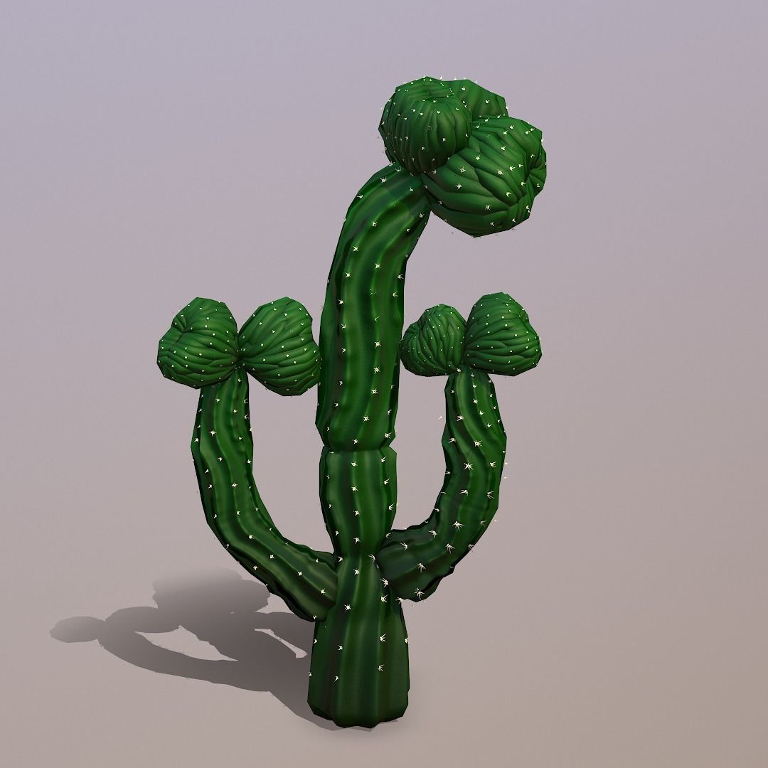 3D model Procedural Cactus PBr VR / AR / low-poly | CGTrader