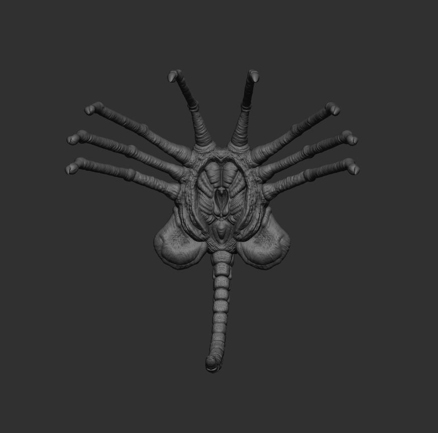 alien face hugger 3d print 3D model 3D printable CGTrader