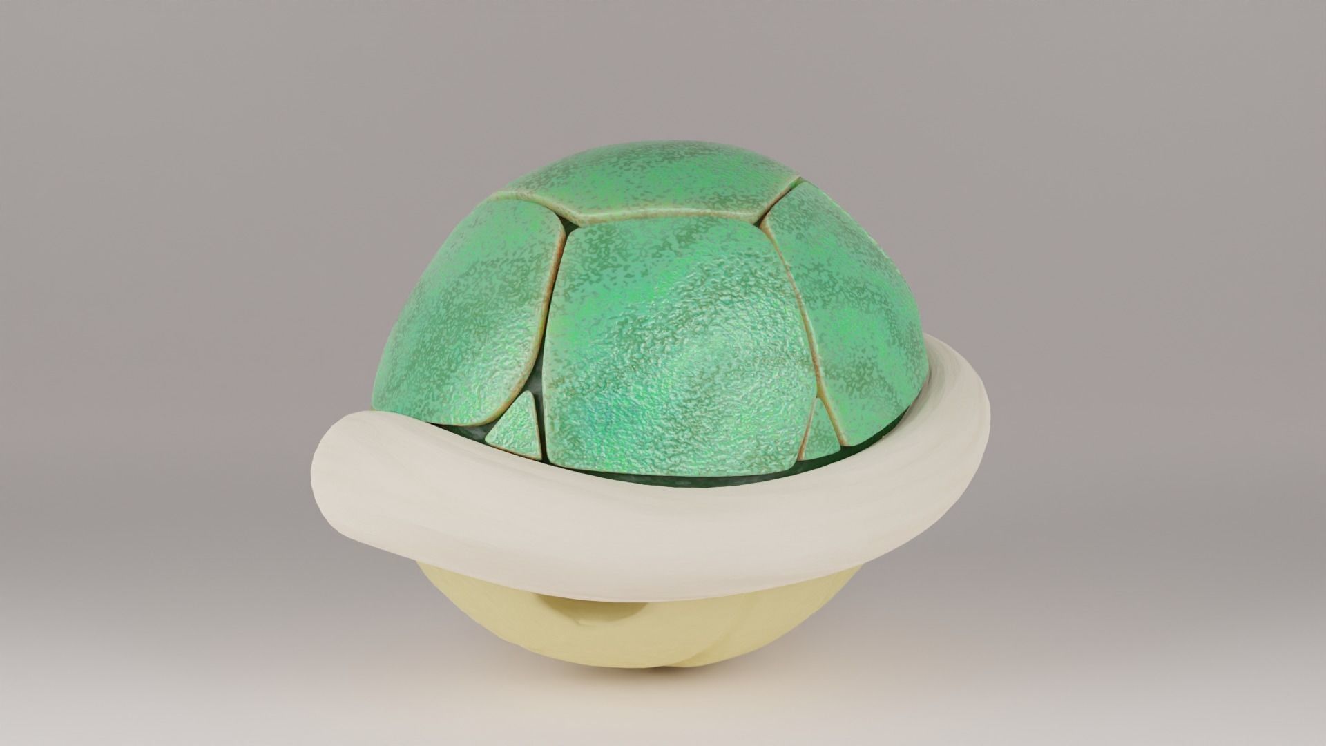 Shells and spiny shell 3D model | CGTrader