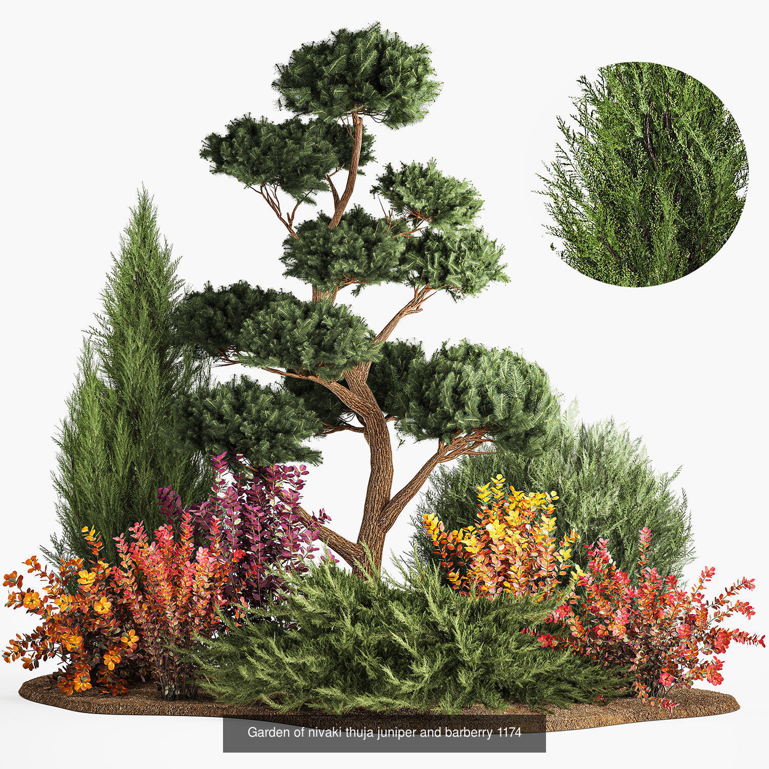 Collection of plants and trees for landscape design square parks | CGTrader