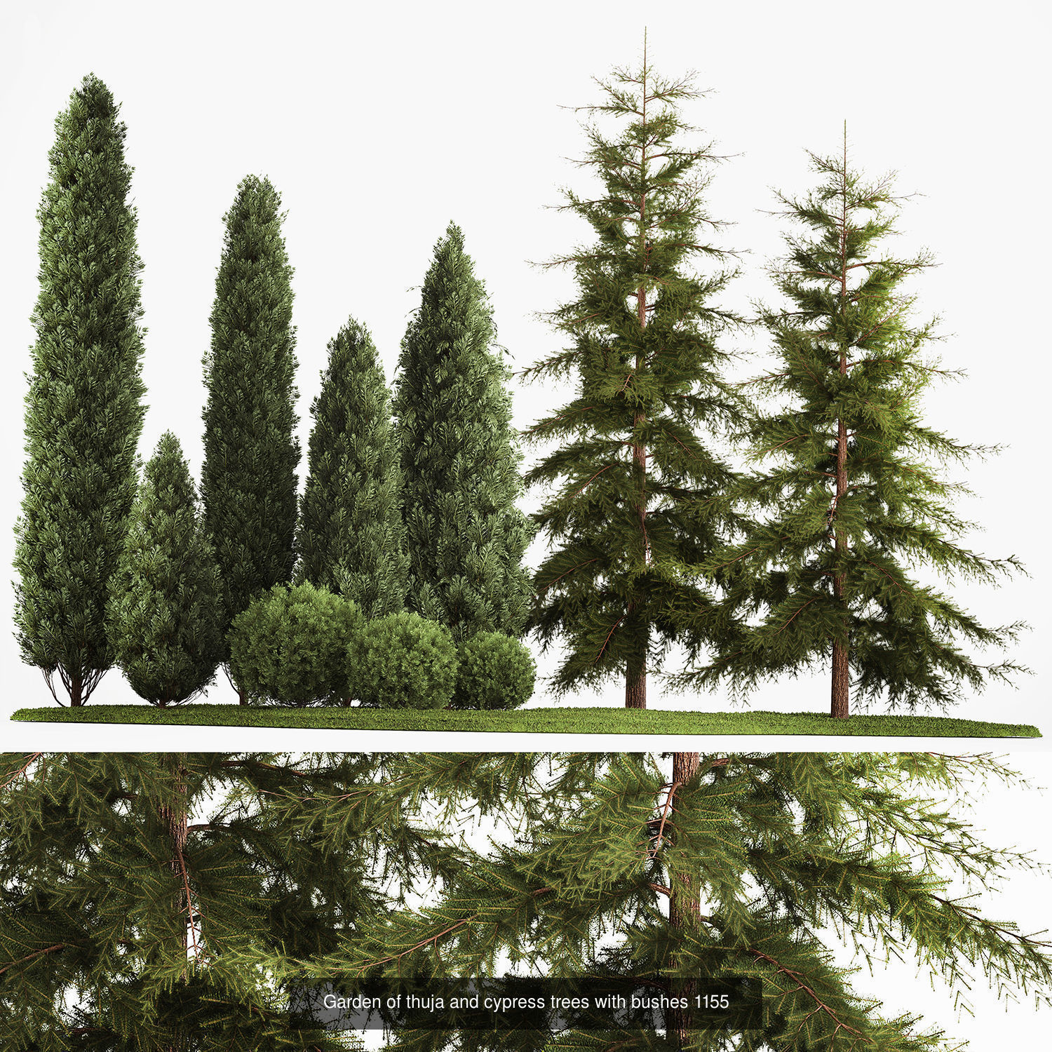 Collection of plants and trees for landscape design square parks | CGTrader