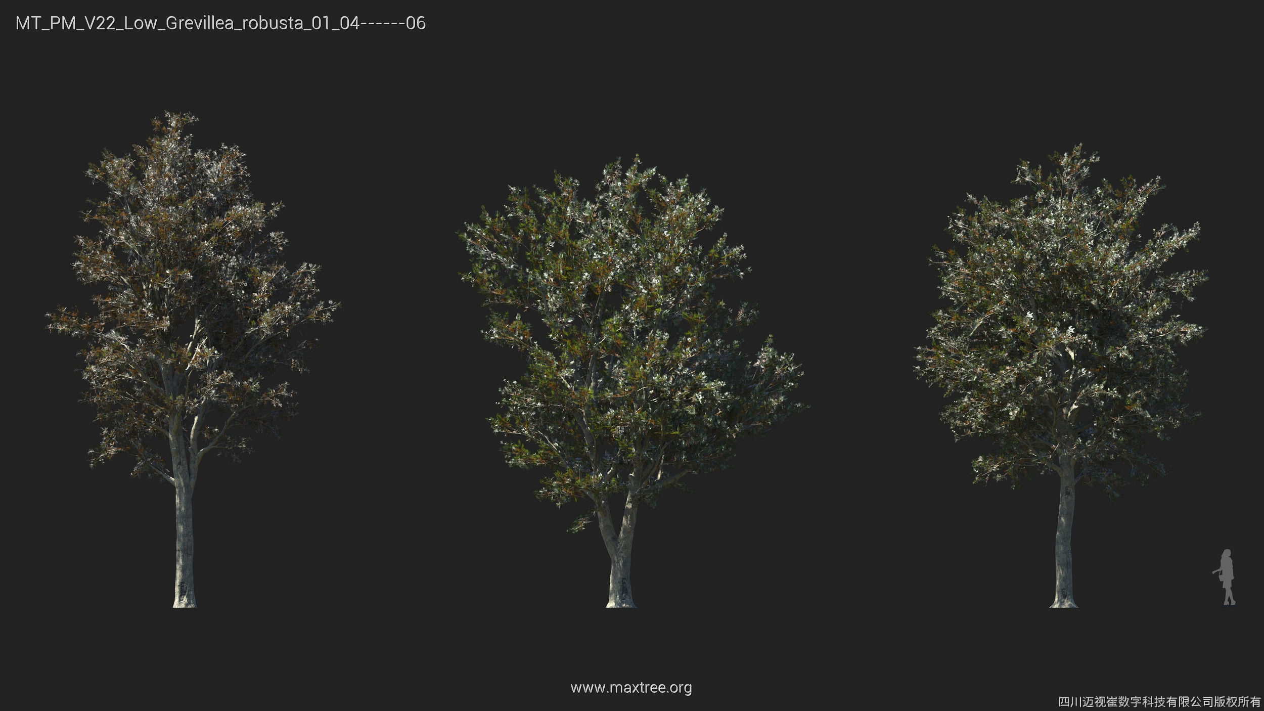 Maxtree Plant Models Vol 22 Low - Mesh 3D model | CGTrader