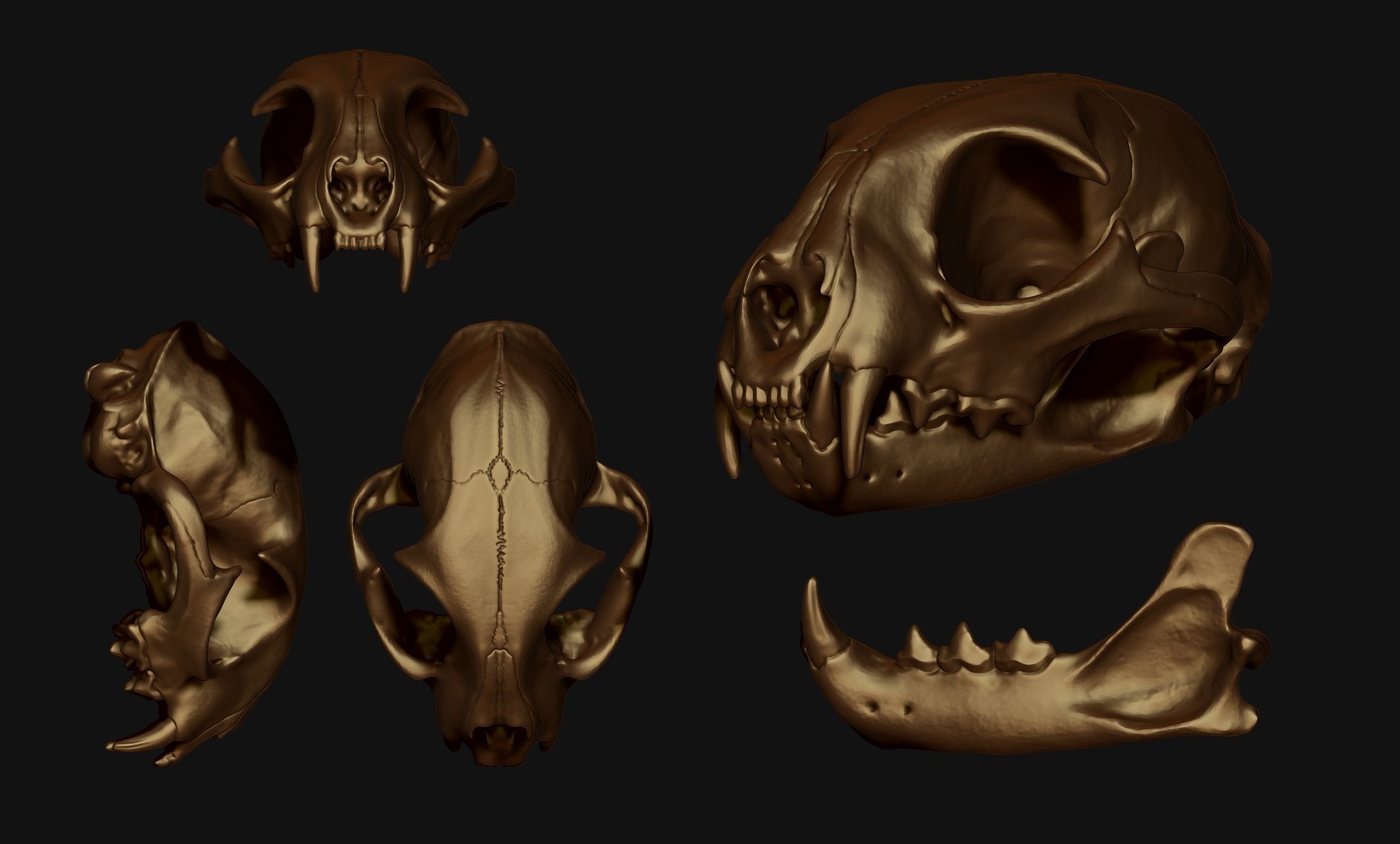 Lynx rufus Red Lynx Skull CNC and 3D model 3D printable CGTrader