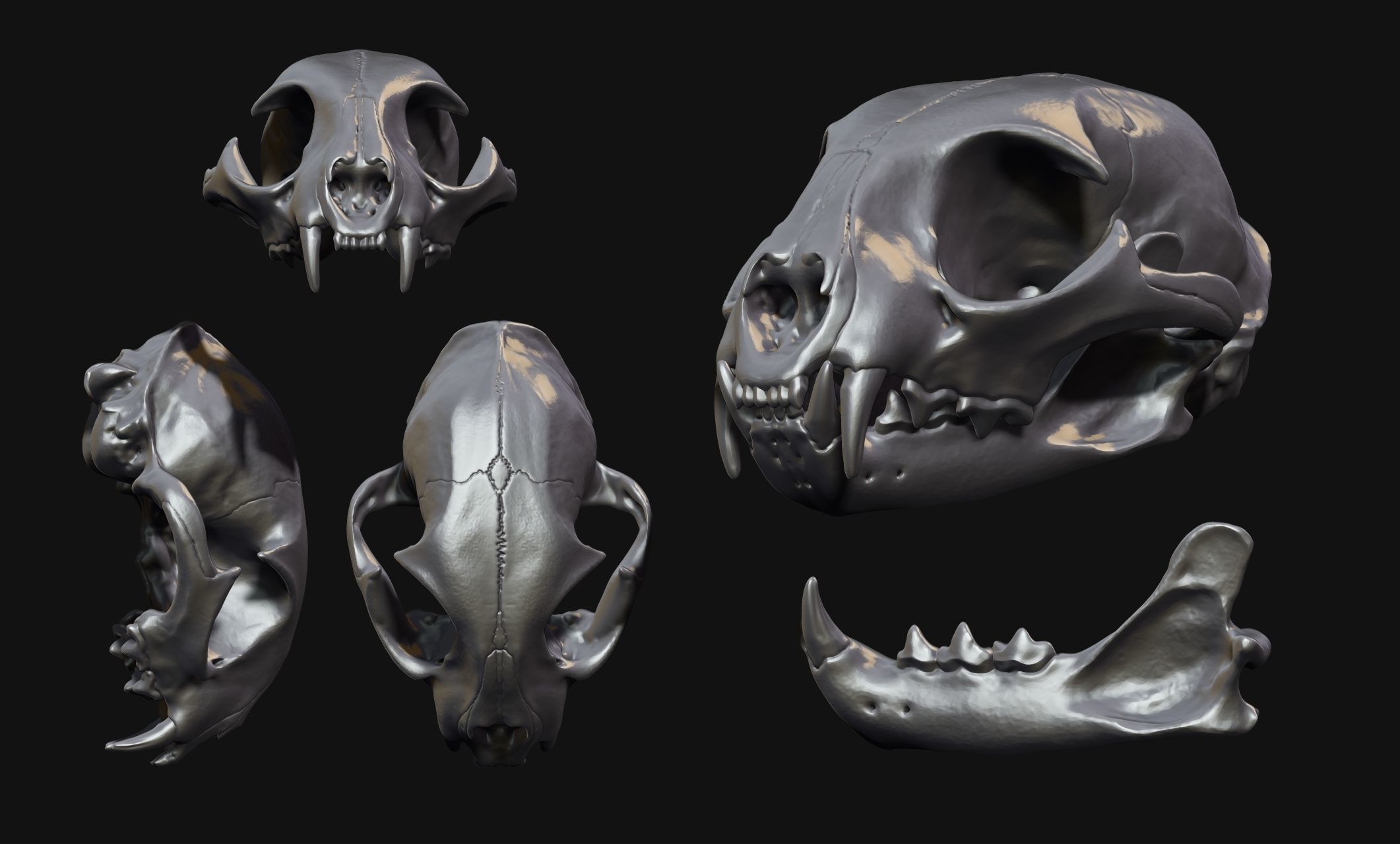 Lynx rufus Red Lynx Skull CNC and 3D model 3D printable CGTrader