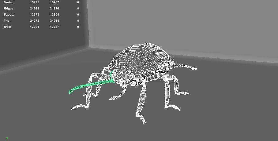 3D model 4 Type of insects VR / AR / low-poly | CGTrader