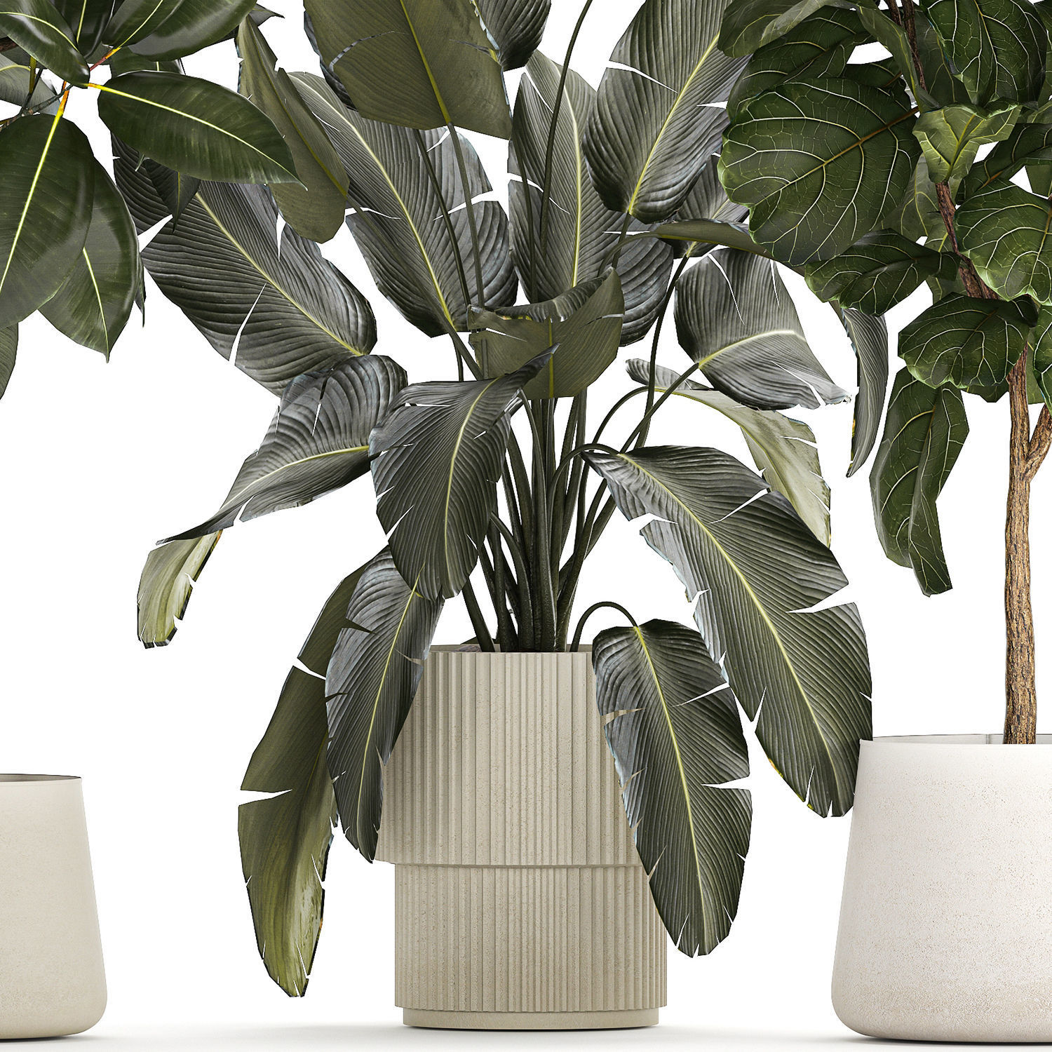 Tree Pot For Design Set of beautiful plants and trees in pots for decoration 1322 3D model ...