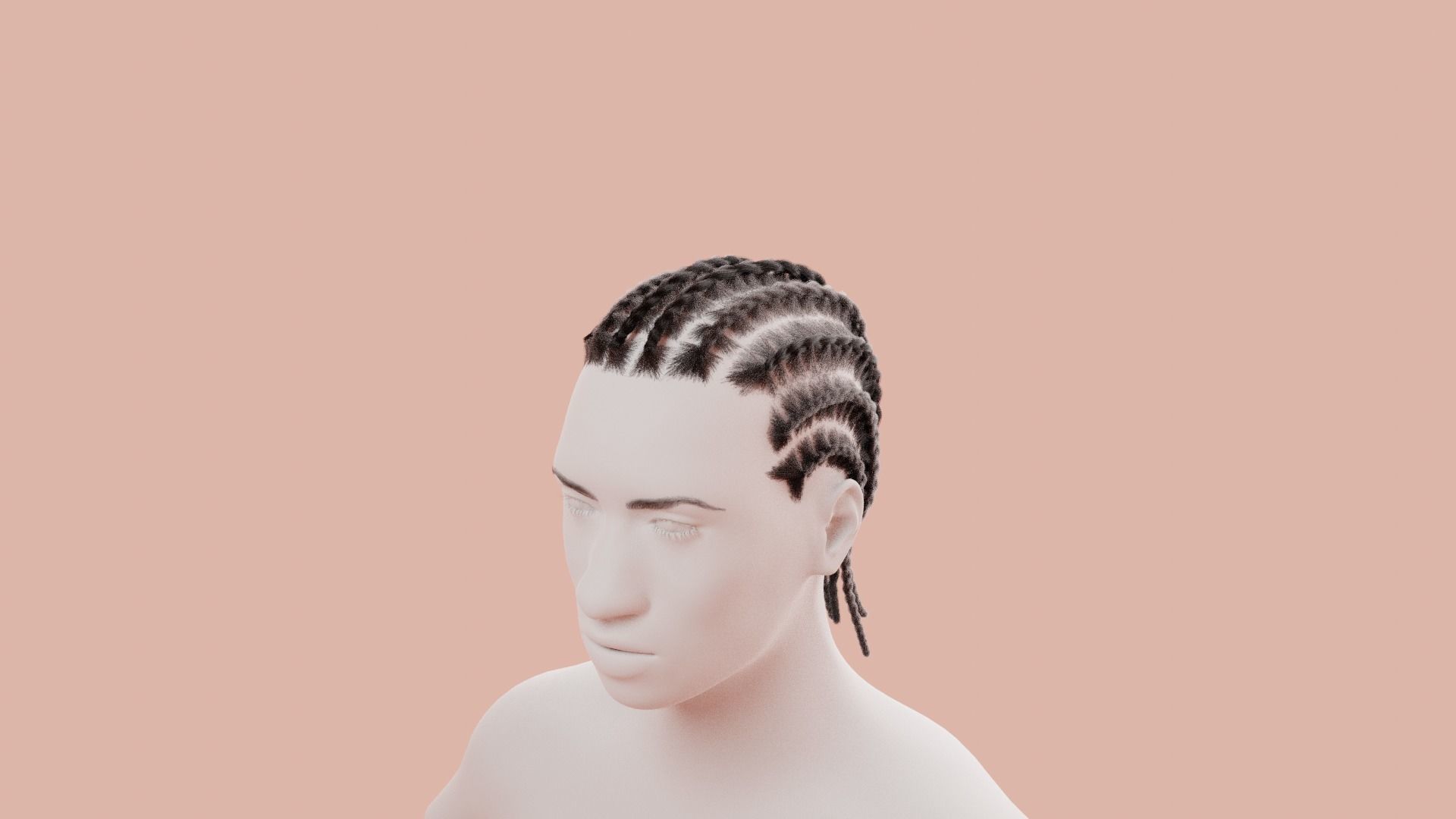 Cornrow Braids 3D model | CGTrader