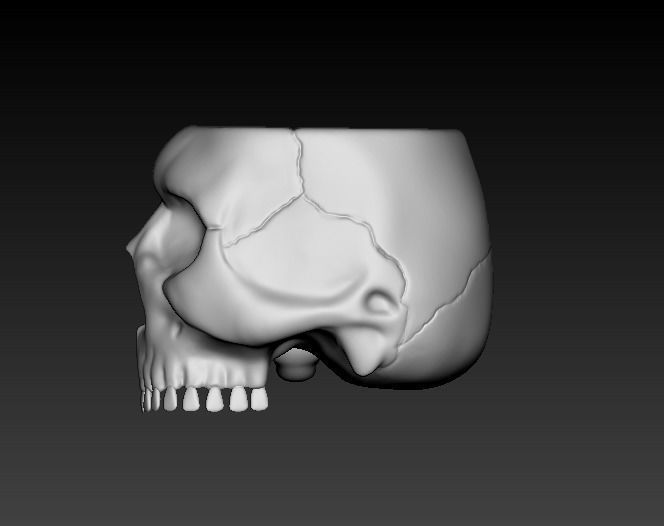 Skull Cup 3D Prints Ready 3D model 3D printable | CGTrader