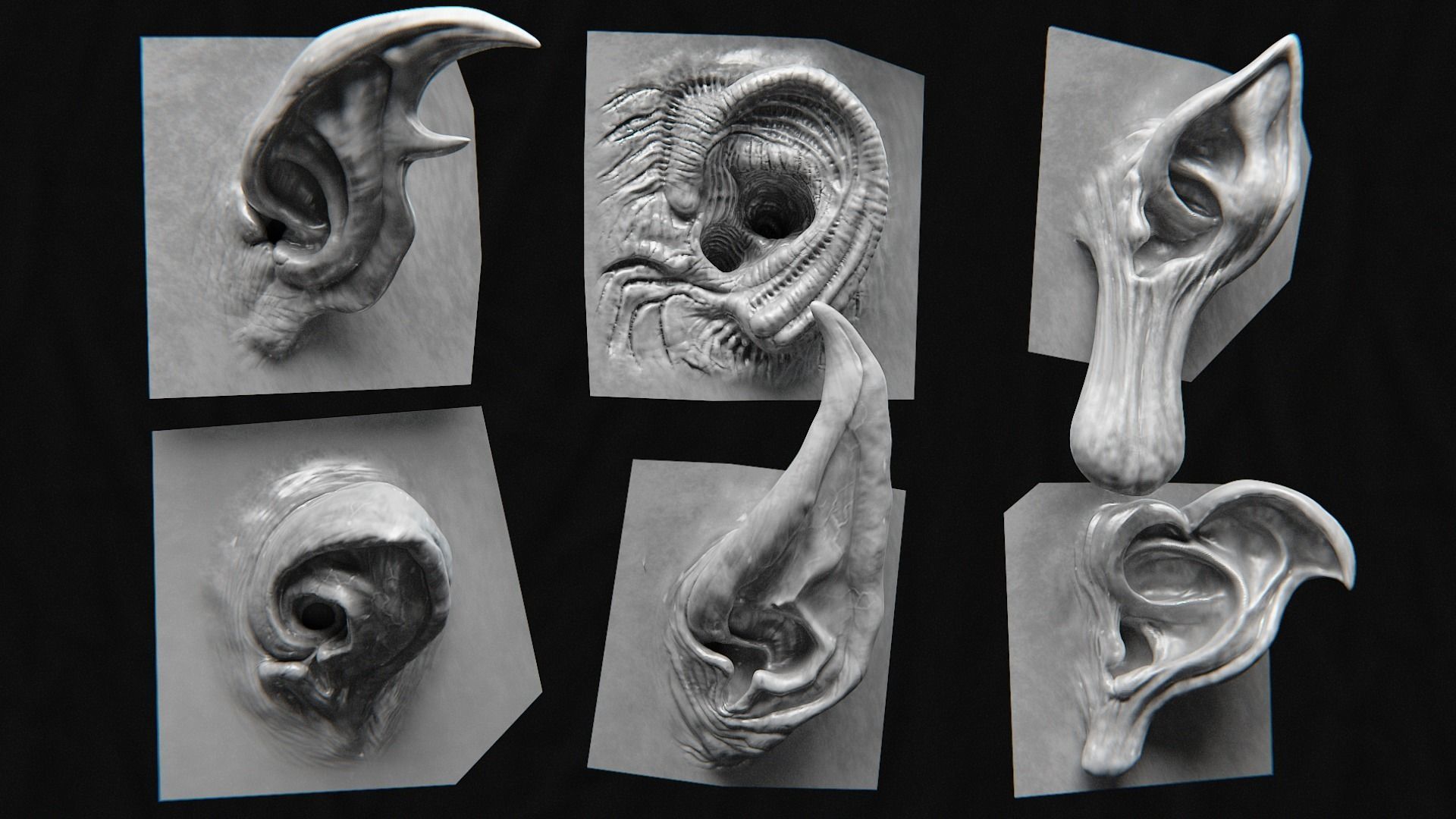 44 High Detailed Ears For Creatures VDM Zbursh Blender BONUS 3D model CGTrader
