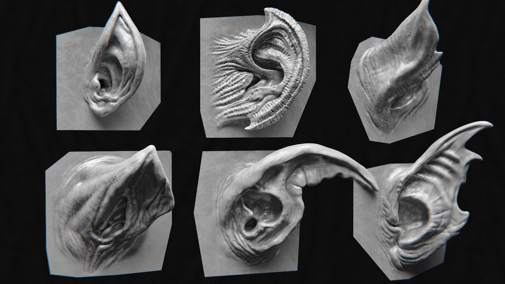 44 High Detailed Ears For Creatures VDM Zbursh Blender BONUS 3D model CGTrader