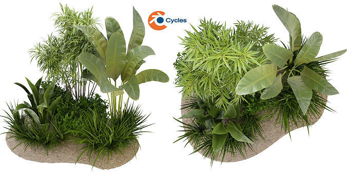 collection-plant-vol-288-blender-model-3d-model-16ef15336e.jpg