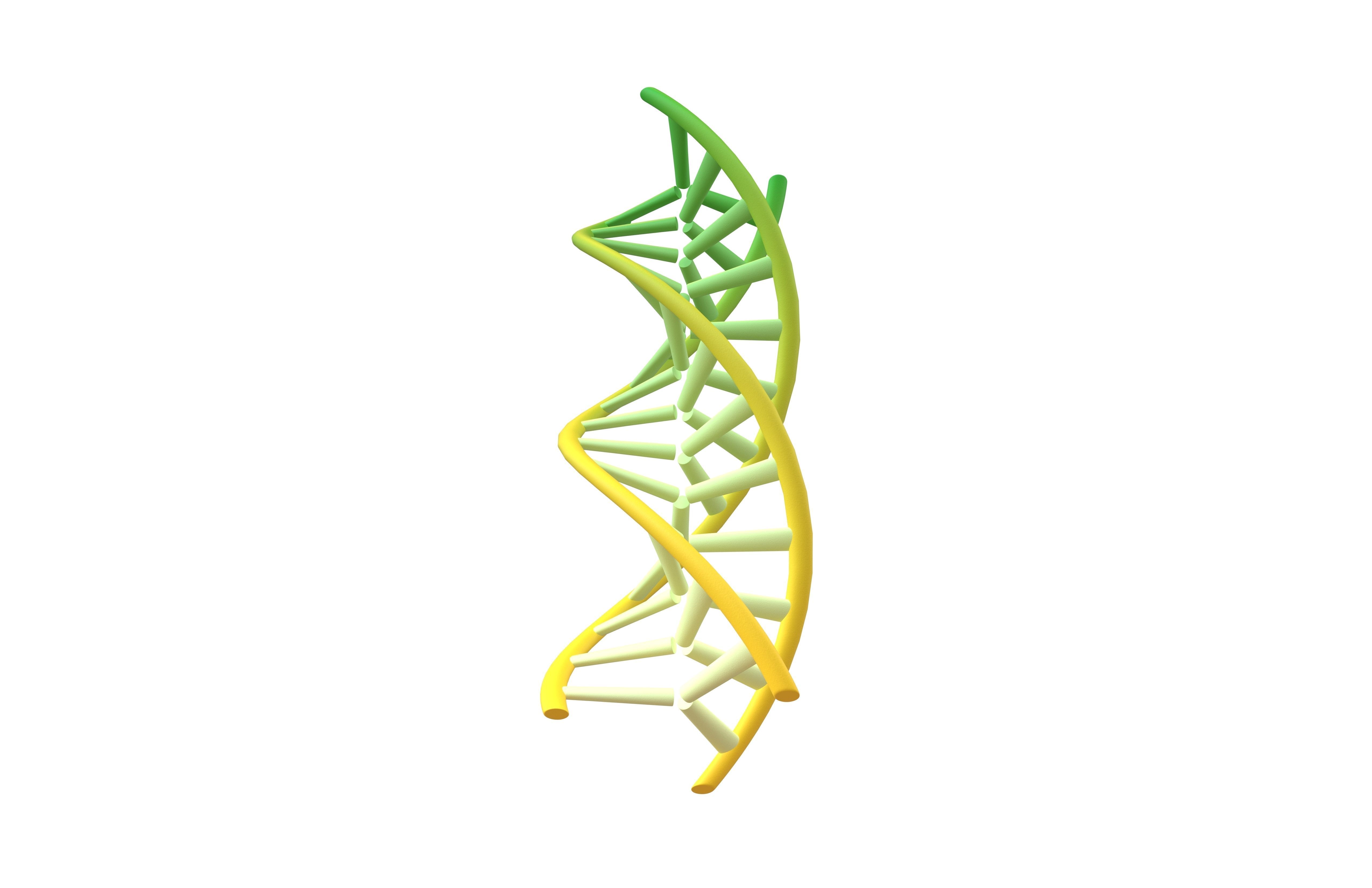 Triple Helix DNA v1 008 3D model CGTrader