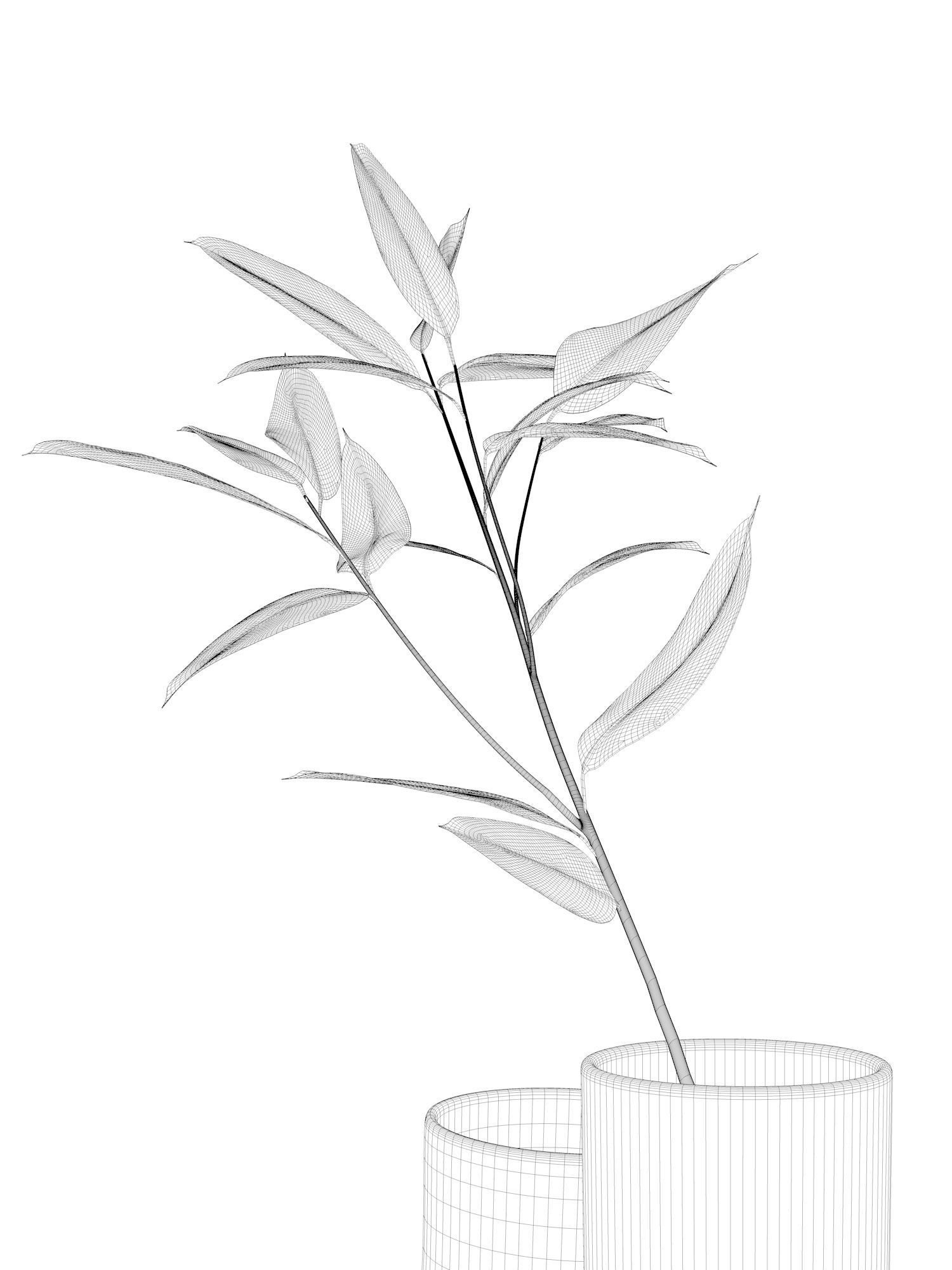 Bamboo Vase with Plant 3D model CGTrader