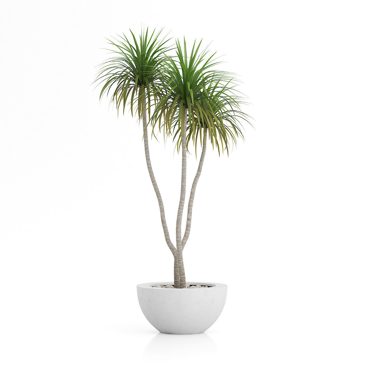 House Plant 3D Model CGTrader house-plant-3d-model-cgtrader