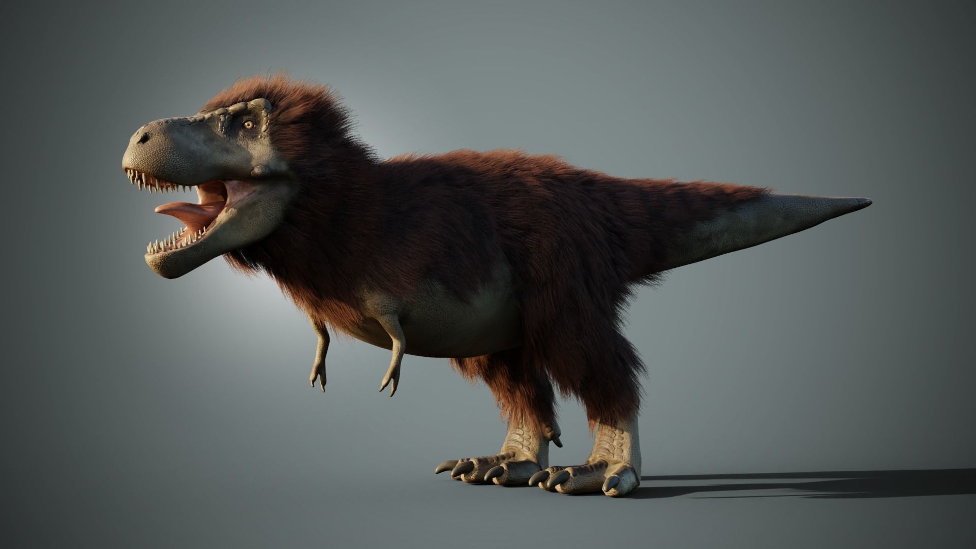 3D Model Tyrannosaurus Rex With Feathers VR AR Low poly CGTrader