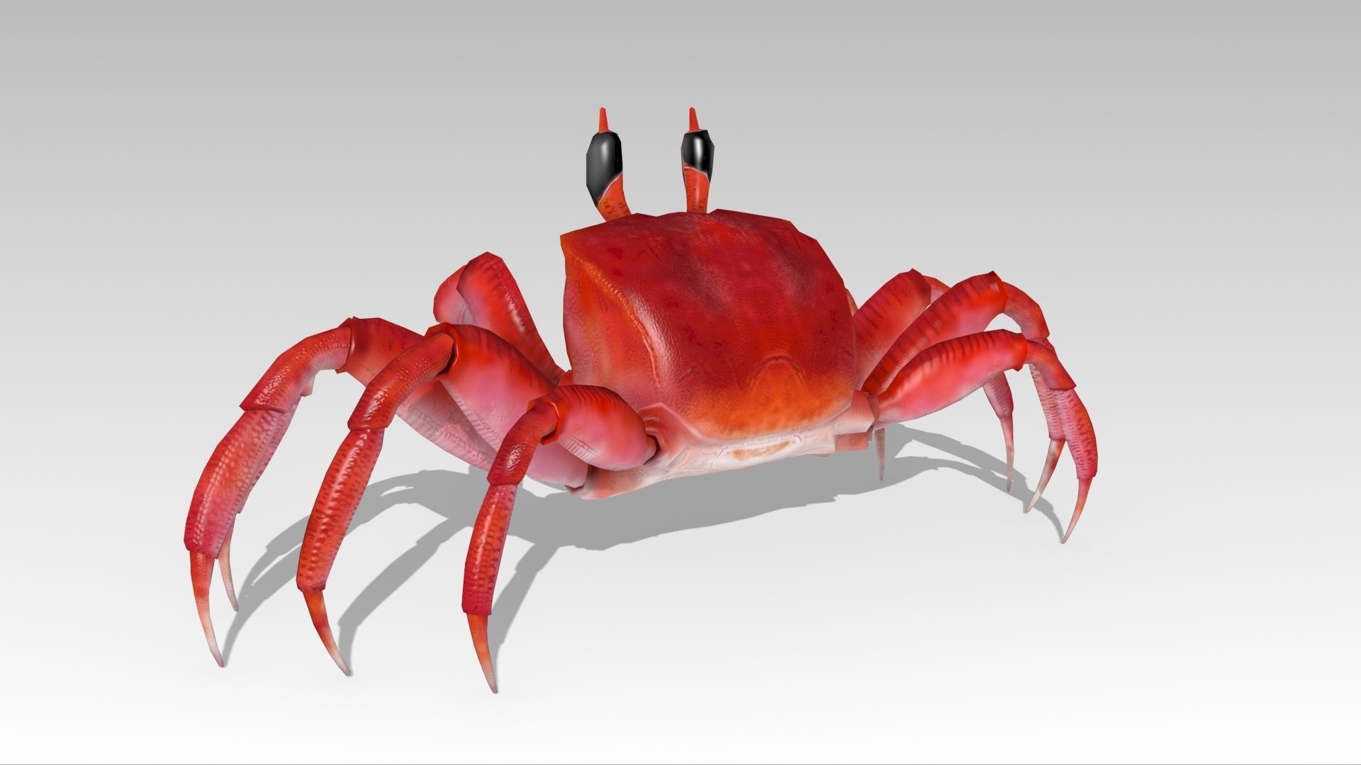 3D model Crab Animated VR / AR / lowpoly CGTrader