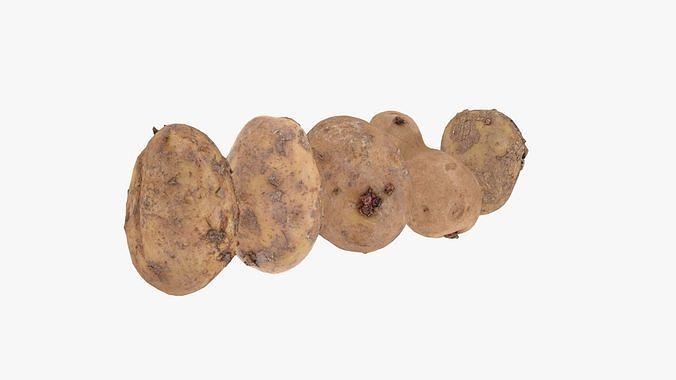 3D model Potato Scan Pack VR / AR / low-poly | CGTrader