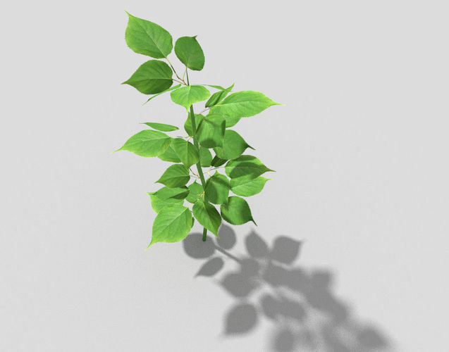 3D model low poly plant 16 VR / AR / lowpoly OBJ 3DS FBX