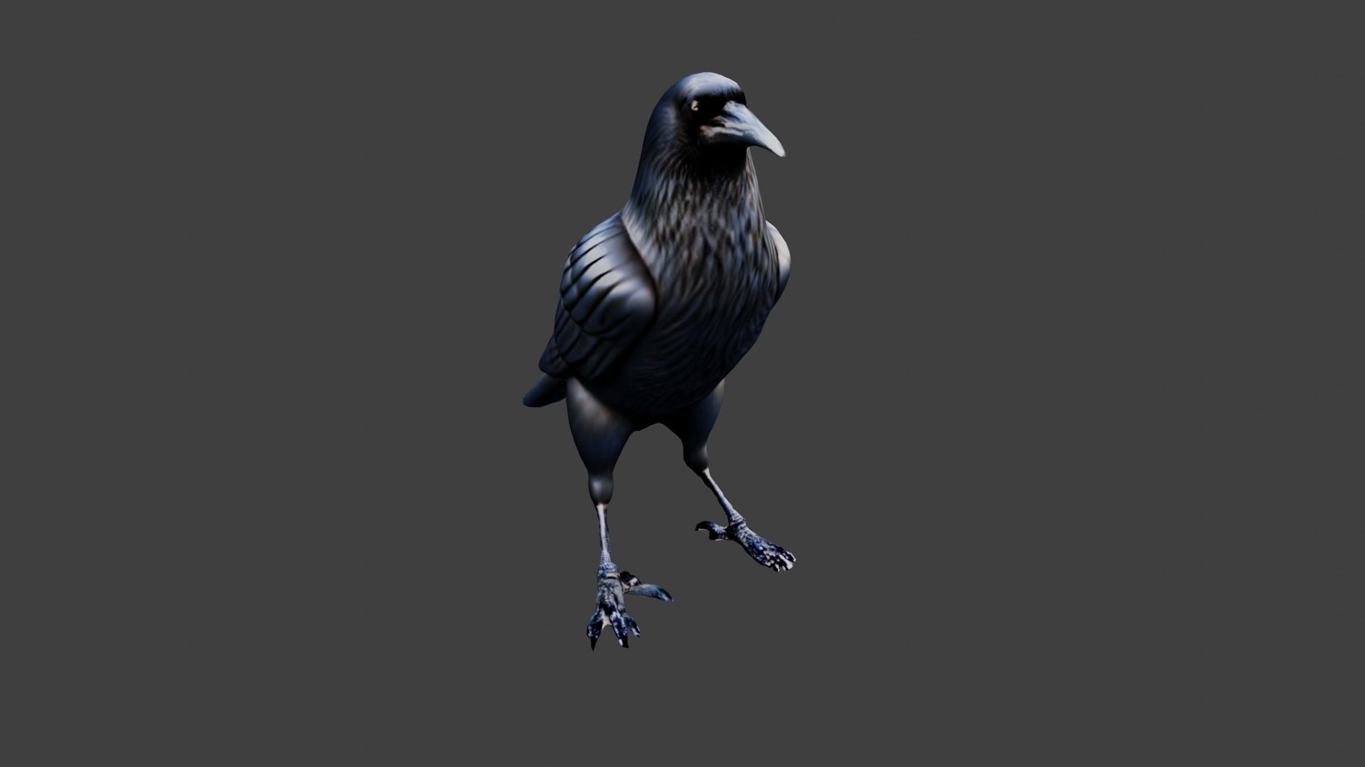 3D model Raven Animal VR / AR / lowpoly CGTrader